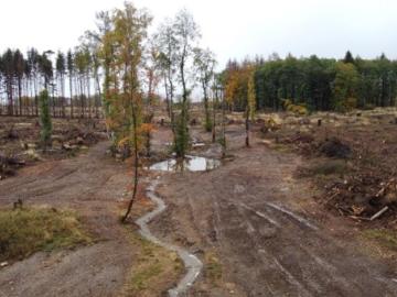 Anlage von Biotopflächen